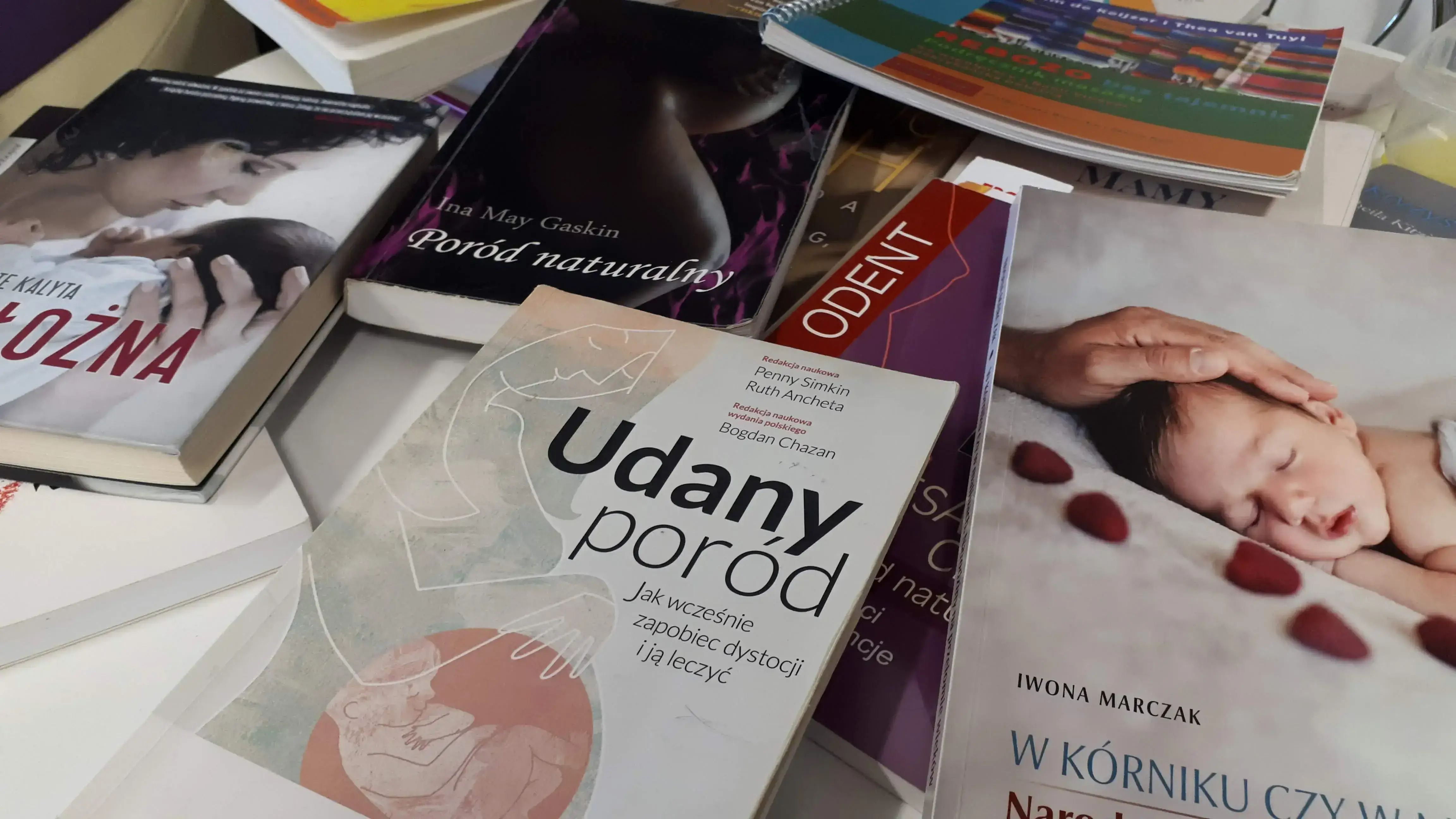 Galeria — zdjęcie 11