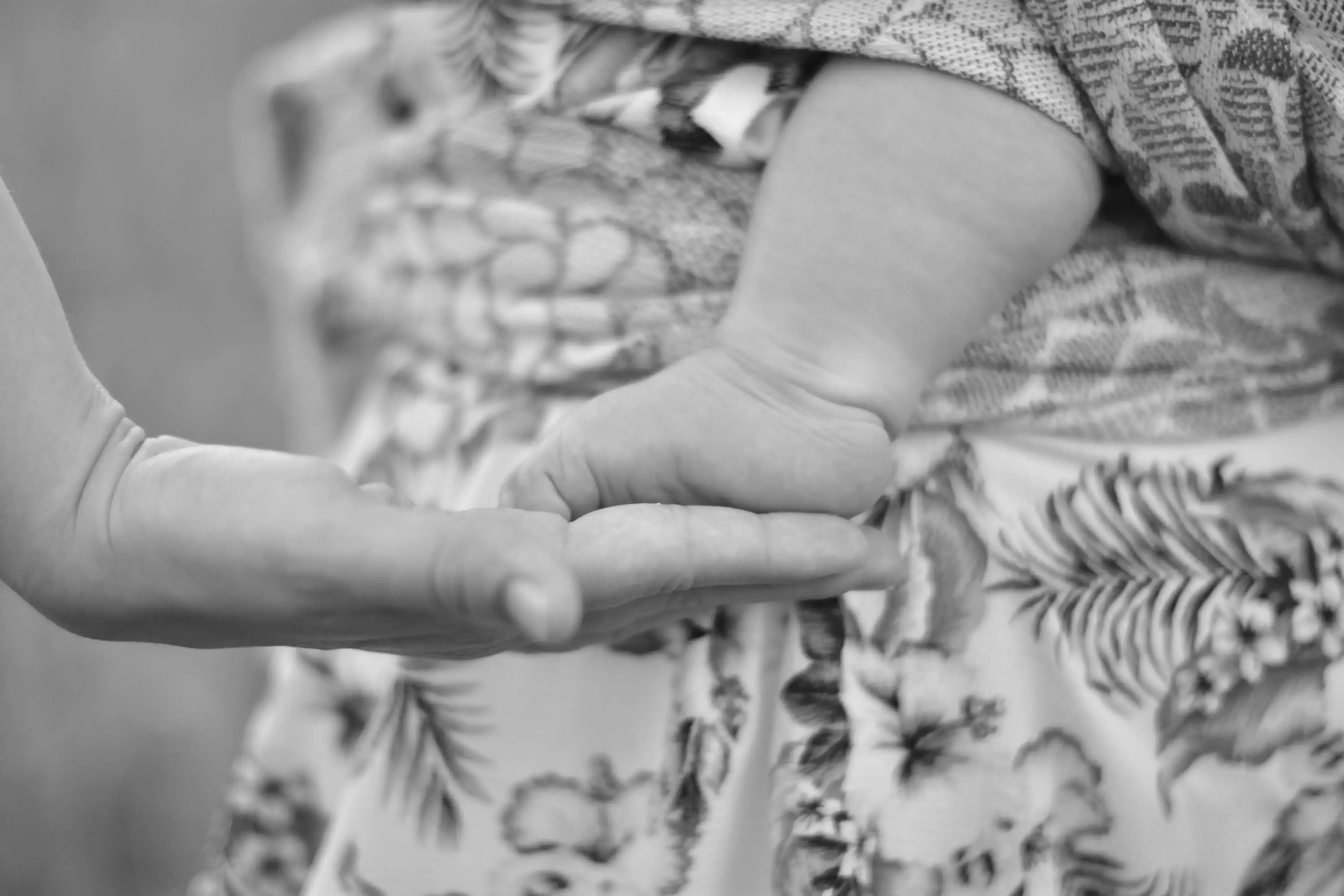 Galeria — zdjęcie 3